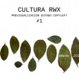 Cultura.rwx es una publicación sobre cultura libre la frecuencia de publicación es bimensual. El título hace referencia a los permisos de los archivos Leer (R) Escribir (W) Ejecutar (X) -rwx-...